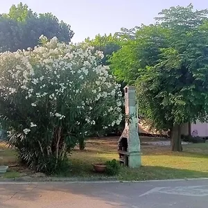 L'oasi Di Lulu' Senigallia